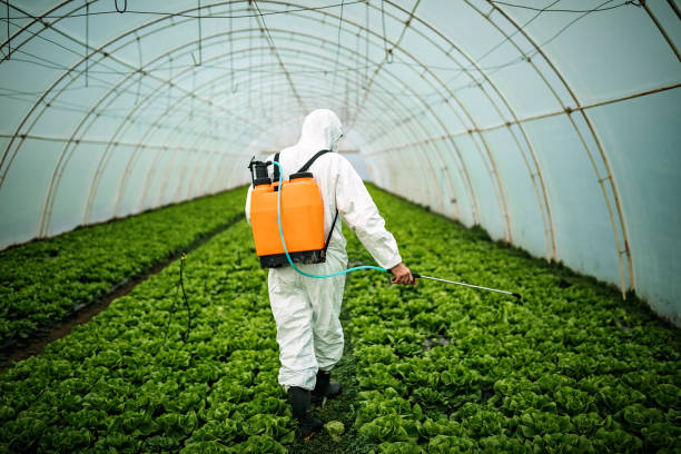 Best Best Pest Control Companies  in Buffalo, MN