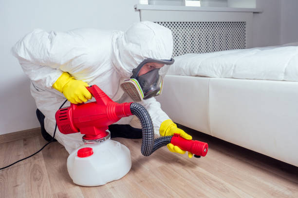 Best Insect Control  in Buffalo, MN
