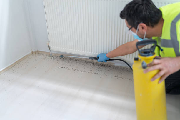 Best Local Pest Control Services  in Buffalo, MN