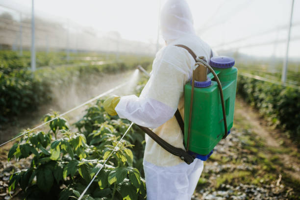 Flea Control Services in Buffalo, MN